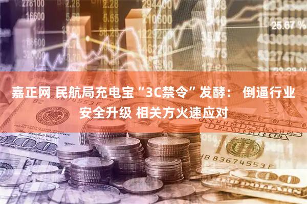 嘉正网 民航局充电宝“3C禁令”发酵： 倒逼行业安全升级 相关方火速应对
