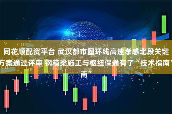 同花顺配资平台 武汉都市圈环线高速孝感北段关键方案通过评审 钢箱梁施工与枢纽保通有了“技术指南”