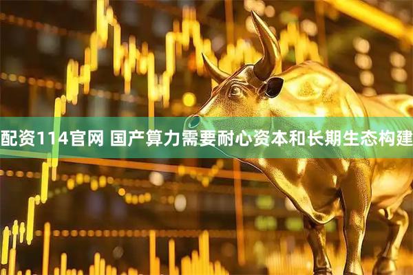 配资114官网 国产算力需要耐心资本和长期生态构建