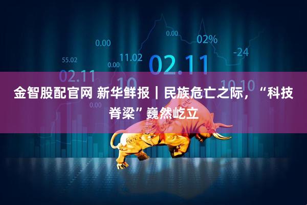金智股配官网 新华鲜报｜民族危亡之际，“科技脊梁”巍然屹立